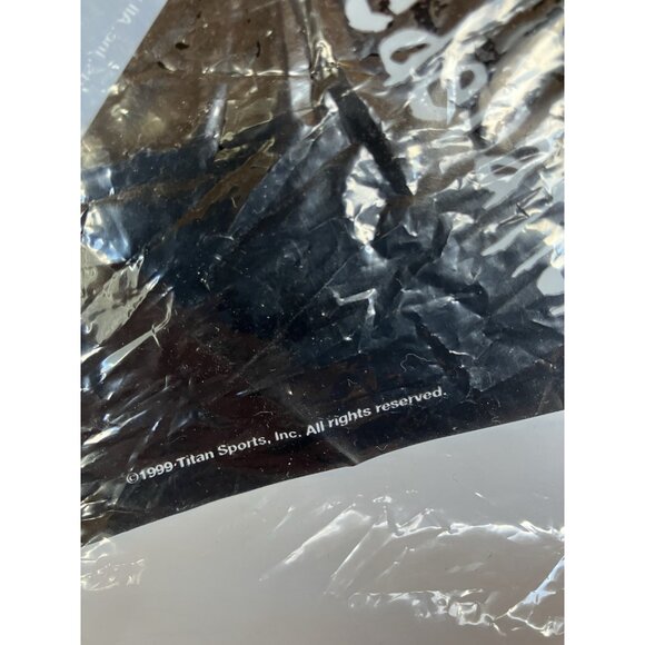 Vintage WWF/WWE Plastic Flag Birthday Party Banner 1999 - Picture 4 of 9